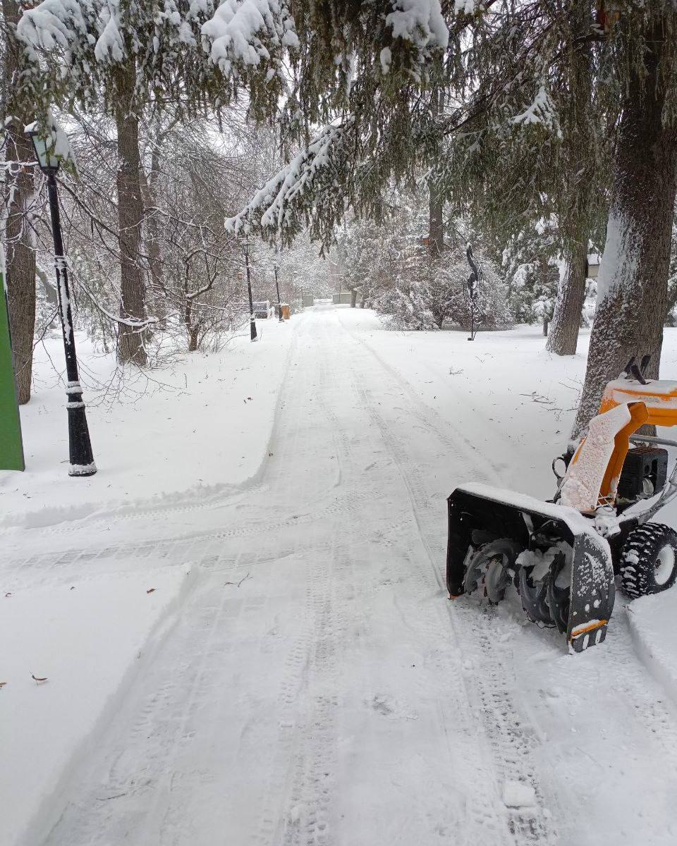 "Зимняя сказка во Владимирском саду: расчищаем тропинки для ваших прогулок!" "Зимняя сказка во Владимирском саду: расчищаем тропинки для ваших прогулок!"