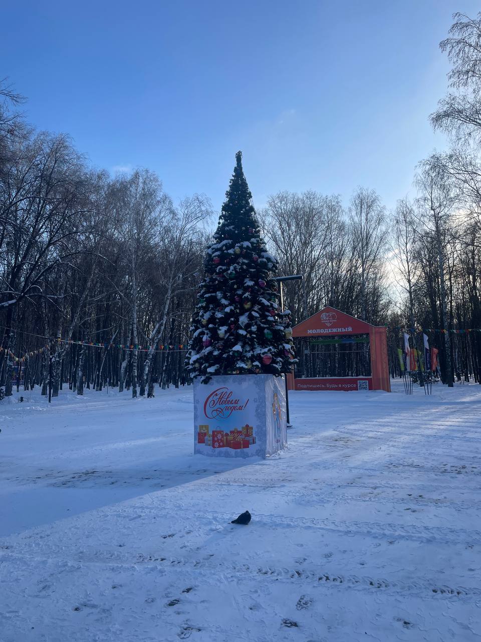 В Ульяновск наконец пришла настоящая зима — со снегом, белыми деревьями и всей декабрьской красотой В Ульяновск наконец пришла настоящая зима — со снегом, белыми деревьями и всей декабрьской красотой