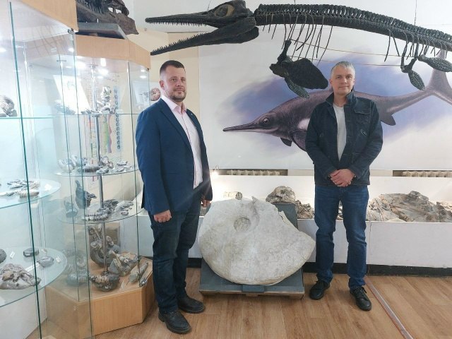 Один из крупнейших аммонитов возрастом около 90 млн лет передали в коллекцию Ундоровского палеонтологического музея Один из крупнейших аммонитов возрастом около 90 млн лет передали в коллекцию Ундоровского палеонтологического музея