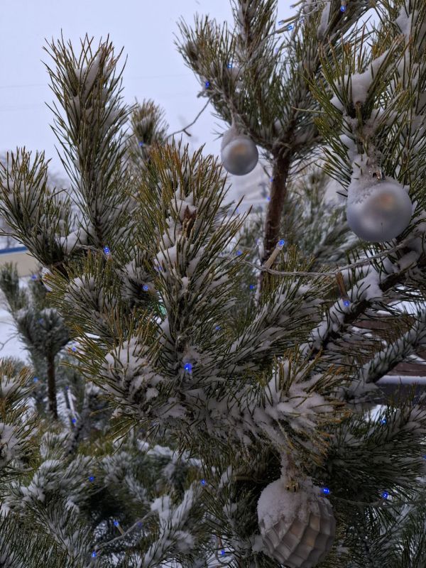 ���� ������, ������!. 15 ������� � ���� ���, ���� ���������������� ����� ��� ������, ���� ������ �����������, �������� ��� ���������� ���������������� ������������ � ���� ����������������