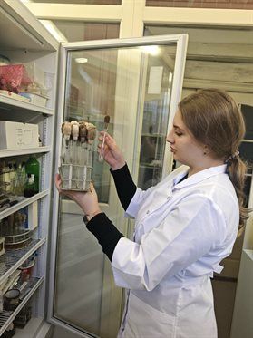 Победителями конкурса «Студенческий стартап» в 2025 году стали 2,5 тысячи студентов, ординаторов и аспирантов