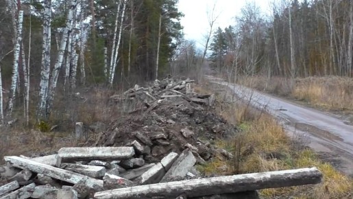 «Кладбище бордюров» в Димитровграде вышло на новый уровень разбирательств — надзорный орган отправил в региональное министерство природных ресурсов и экологии Ульяновской области административный материал