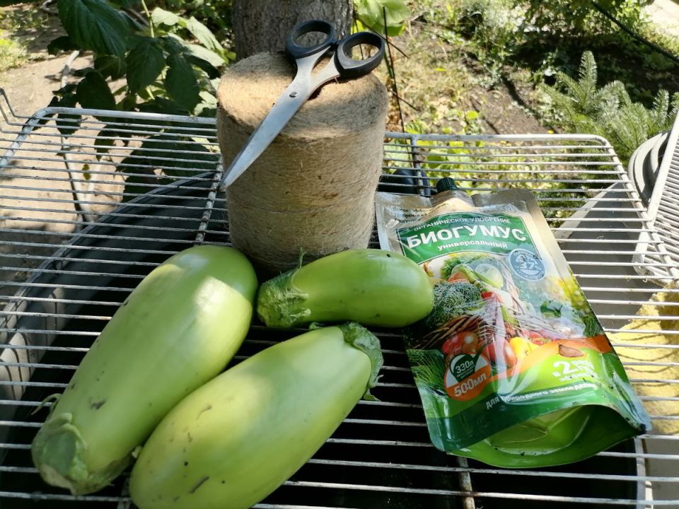 ��� ��������� ����� � ��������� � ������: 5 ������� ������