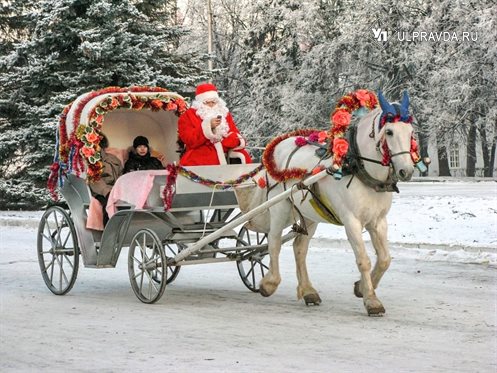 В одних странах наряжают новогоднюю елку, а в других - бамбуковые ветки