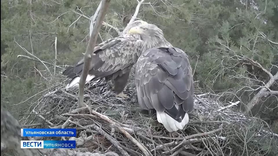 ������-���������� ������ ����� ����� �������� ���� ������ � �������� "������������� ����"