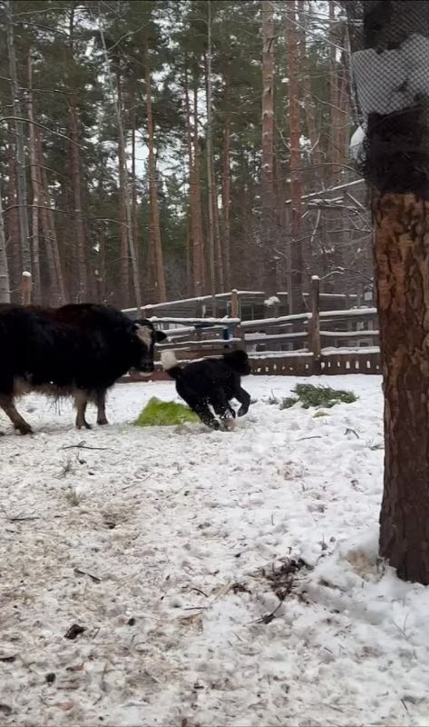 � ���������� � �������� ������� �� ������