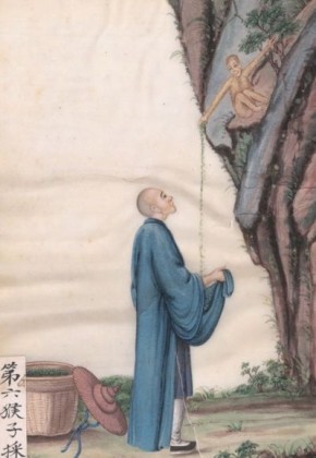 Как тетрапанакс стал секретом китайских миниатюр: уникальные картины из бумаги