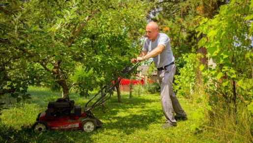 �� ������ ��� ��������: ��� ��� ��� ����� ������������ ��������� ����� �� ����