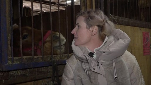 �������� ������ ����! �������� ���������� ���������, 17-�� ������� �������� ��� �������� ������. ��� ��� ��� ��� ����� ���������� ������� � ������� ���������