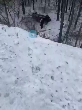 ��������� ��� ��������� �� ����������� �����