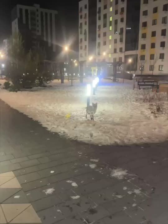 ��������� ����������� �� ����� ���� - �������� ������ �� ��������� ����� � ���-��������