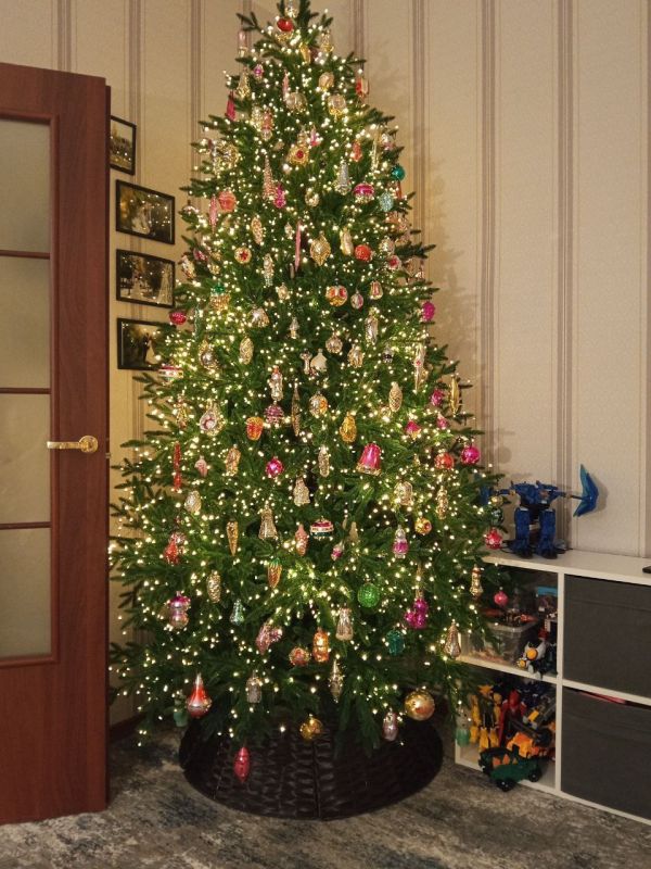 ������ ����, ������!. �������, 22 �������, �������� ���� �������� ������������� ������� ��������, ���� ����������, ���� ��������� ����������� ����� ������ � ���� ����� � ����� ����������� �������