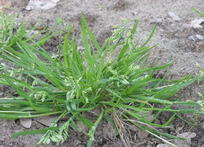 ��� ���������� �������� � ��������� �� ����