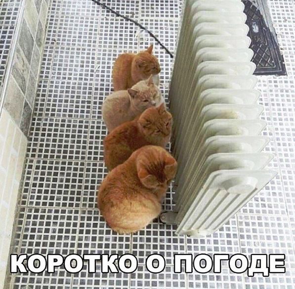 �������������� � ��������������� �������� ������ �� ���������� ����������� �������