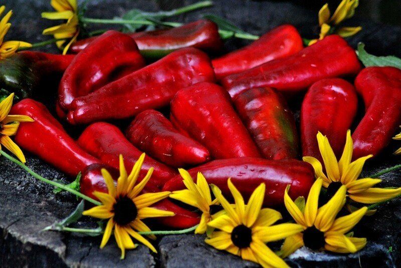 ��������� ����� '���� ������': ��� ����� �����, ����� �������� �������� ���������