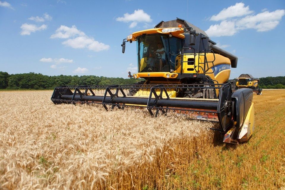 Россия собирает рекордный урожай зерновых в условиях природных катаклизмов