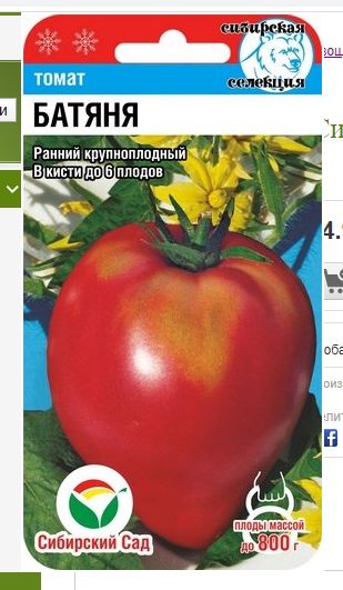 ������ �� ����� ����: ����� ������������ ����� ��� ������ �������