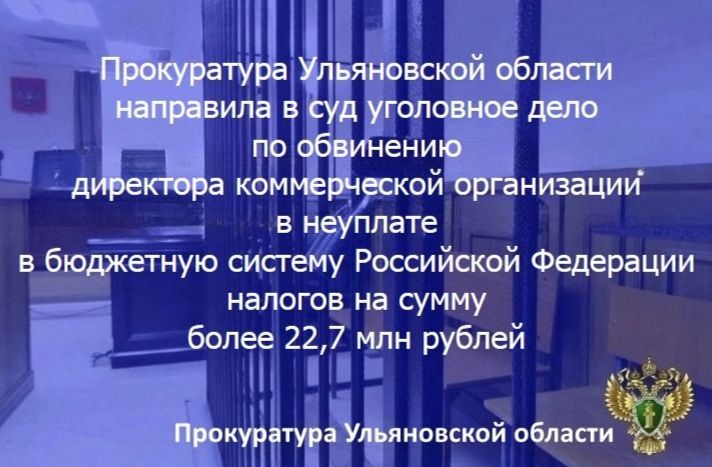 Заместитель прокурора Ульяновской области утвердил обвинительное заключение и направил в суд уголовное дело в отношении жителя региона