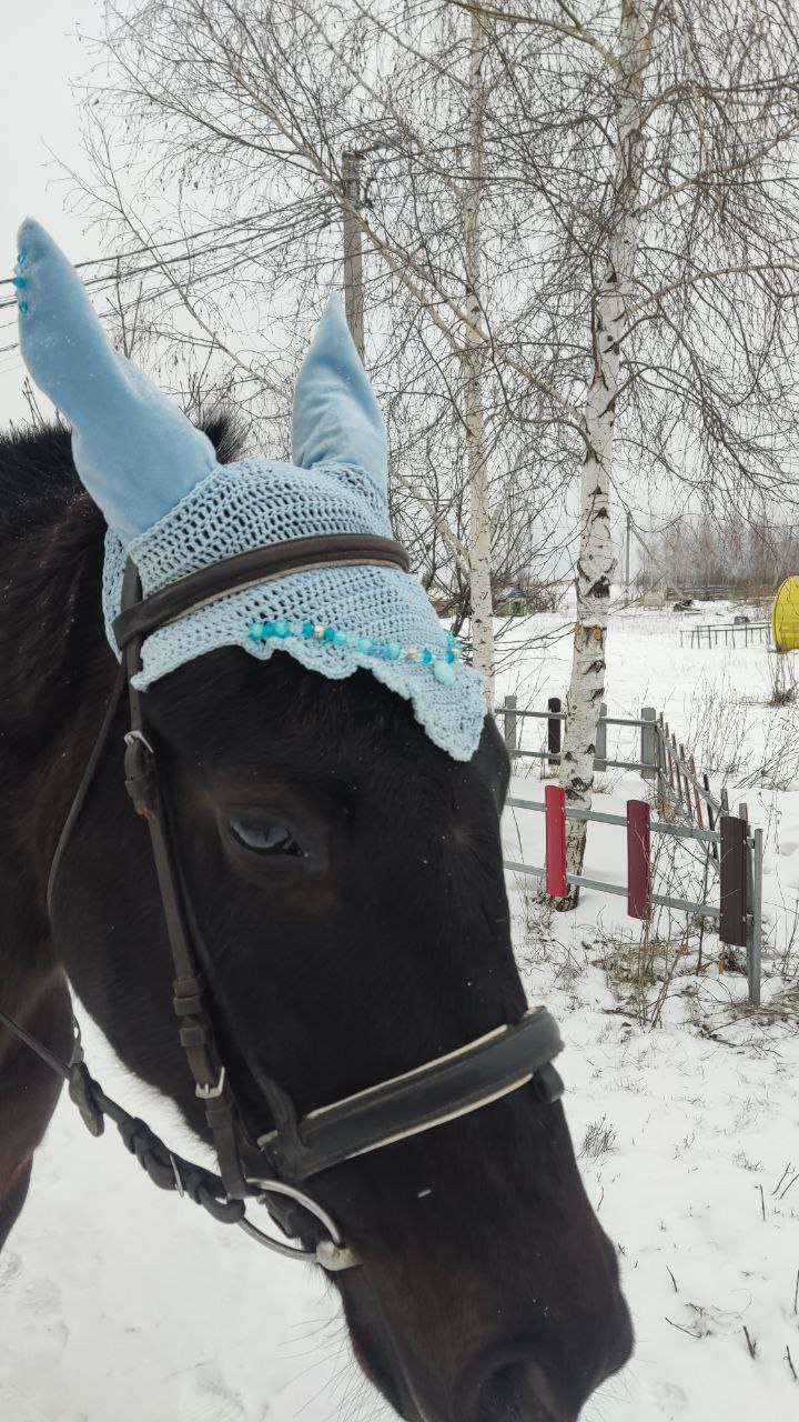 Телеканал Репортер 73 совместно с Медицинской Палатой Ульяновской области представляет новый «Атмосферный» выпуск программы «Будь здоров»: Телеканал Репортер 73 совместно с Медицинской Палатой Ульяновской области представляет новый «Атмосферный» выпуск программы «Будь здоров»: