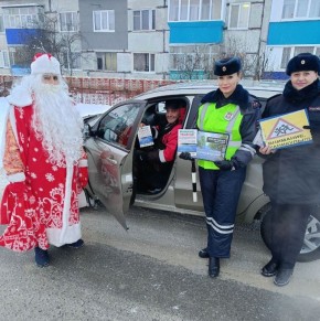 В рамках мероприятия организаторы профилактической акции призвали водителей соблюдать Правила дорожного движения, быть более внимательными и бдительными на дорогах в период зимнего отдыха школьников