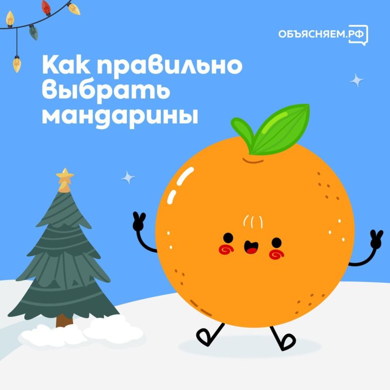 Любители мандаринов, общий сбор!