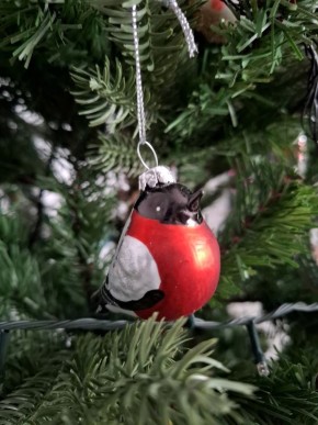 ������ �������������� ����, ������!