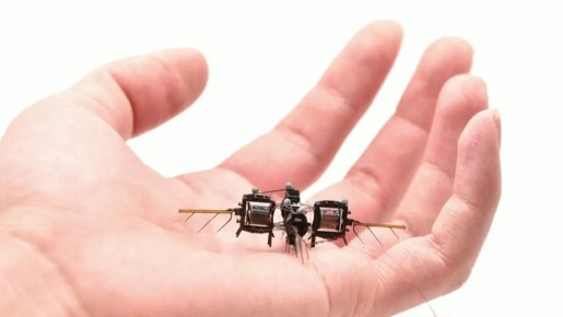 Роботы-опылители: революция в мире садоводства или временное увлечение?