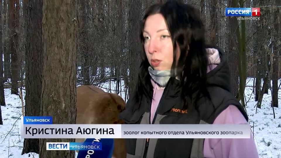 ����������� ���� ������� ����� ��� ������� - �������� �� �������� ������