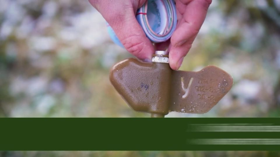 ������ ������ ������� ����� ����, ����������� ��� ���������