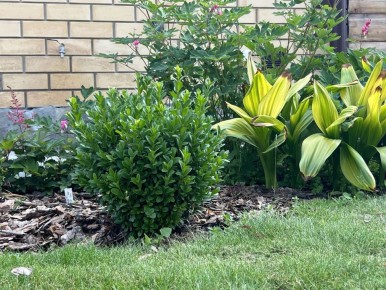 ������: ������� ��������� ����� �� ������������ �������� � �������� �������