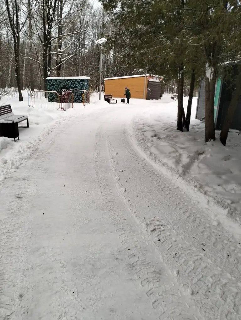 Уборка парков идет по плану Уборка парков идет по плану