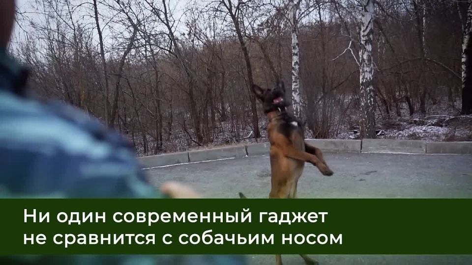 �� ������� ������� ����� ����, ����������� ��� ���������