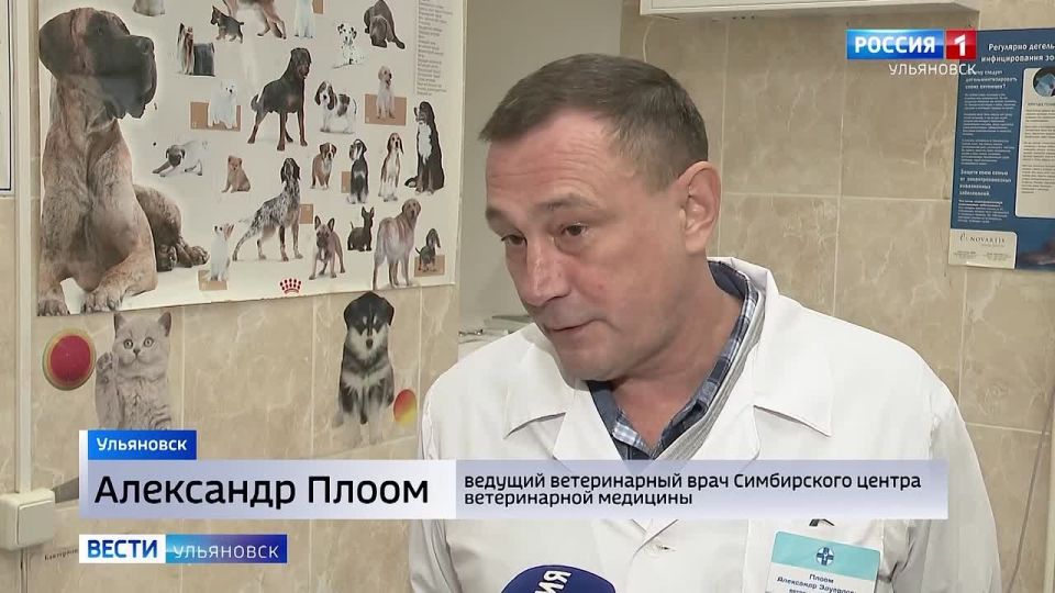 ���������, ����� ���. �������� ����� � ����� ������� ���������� ��� �������� ��������