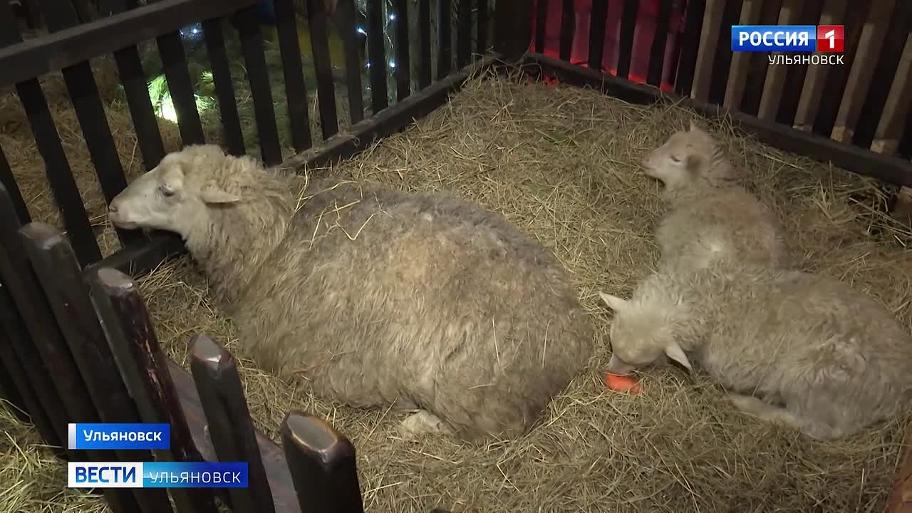 Глубокий духовный смысл, многовековая история и уютные семейные традиции