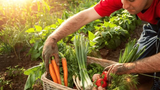 ��� �������� ������� ���� ������: �������� ������ ��� ��������