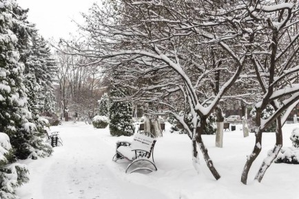 � ����������� ������� �� ���������� ��������� ��� ��������� ��������� 35 ��� ������ � ���� ����