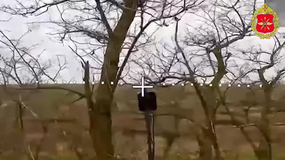 ��������� �������: ��������� ���� ������������ ������������ ��������-���������� ���������� �� ������� ��� "�����" ���������� ������� � ������ ���������� ������� ��� � ����������� �������