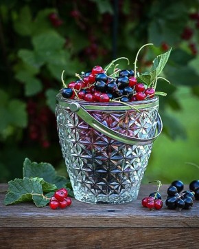 ���������� � ����: ��������� ������ �� ������ � ������� ��������� �� ����