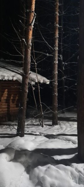 ������ ����, ������!. �������, 11 ������, ��������� ������������� ���� ��������, ���� ������������ � ������������ ������ ������ � ���� �������� ���