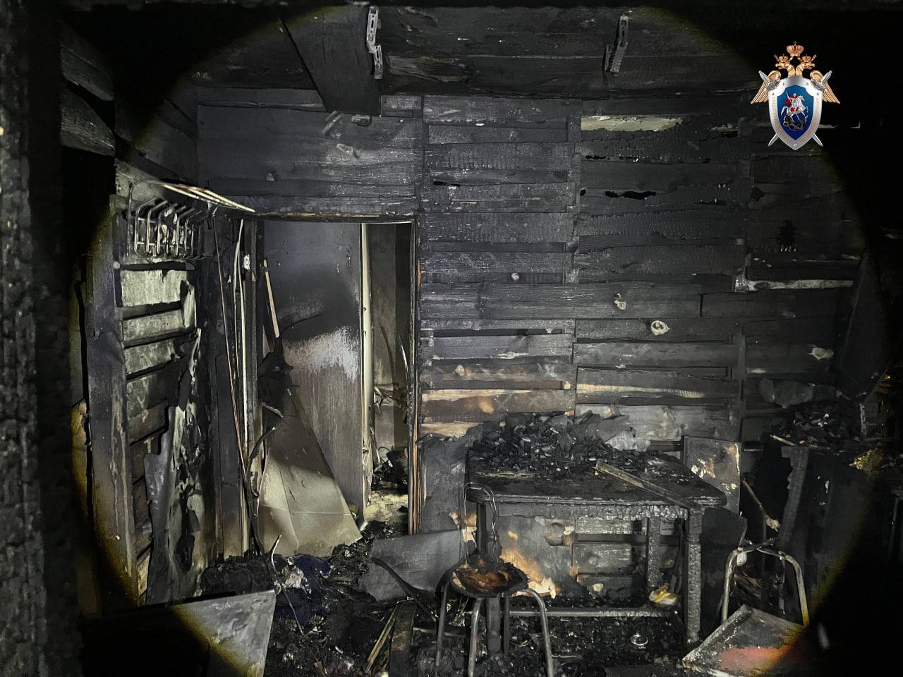 СУ СК начал расследование по факту пожара в Павловке, после которого погибли три человека