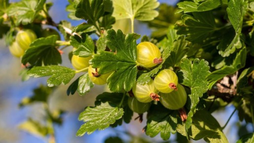 ������� ����� ��� ��������� ���: ��������� ����� ����� ����� �������� �� ����