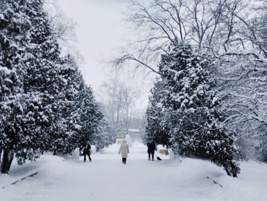 ���������� ������ ����� � ������ ����������