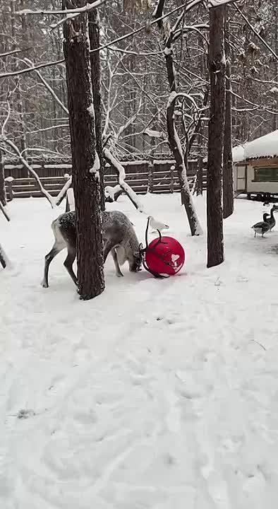 �������� ����� ����� � ����������� �������� ����� � ��������� ������������ ��� �� ����������