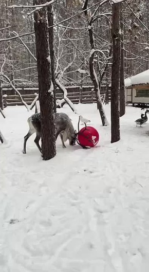 �������� ����� ����� � ����������� �������� ����� � ��������� ������������ ��� �� ����������