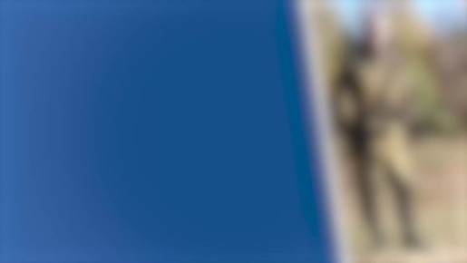 ������� �����������, ������ ���������� ����������� ������� ���