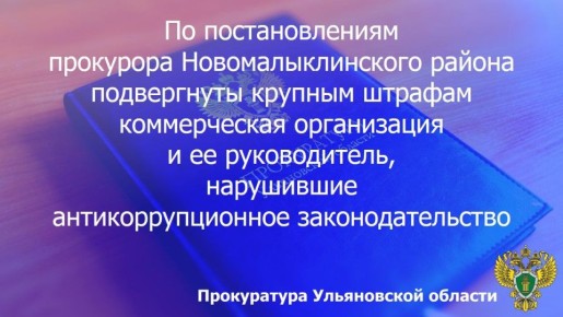 По результатам рассмотрения возбужденных прокурором Новомалыклинского района Ульяновской области двух дел об административном правонарушении по ст. 19.29 КоАП РФ (привлечение к трудовой деятельности бывшего государственного...