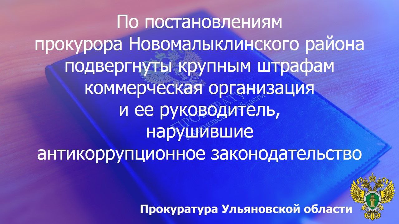 По результатам рассмотрения возбужденных прокурором Новомалыклинского района Ульяновской области двух дел об административном правонарушении по ст. 19.29 КоАП РФ (привлечение к трудовой деятельности бывшего государственного...