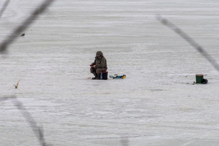 � ���������� ������ ������� ����������� �� ����� �� ������ �� �����