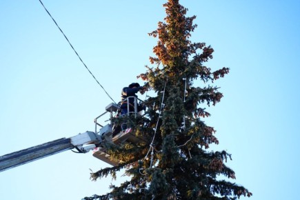 � ������ ���������� ������� ���� ����� ��� ����������� ��������