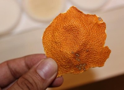 ����������� ������ ������ ����������: ��� ������������ ����� ����� ������ ��� ���